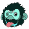 YEETI