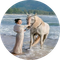 马到成功