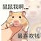 鼠鼠我啊 (鼠鼠我啊)