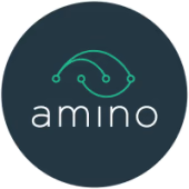 Amino Payments
