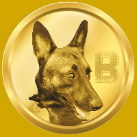 Belgian Malinois