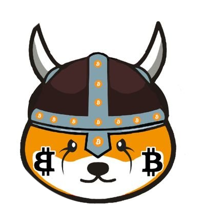 bitFloki