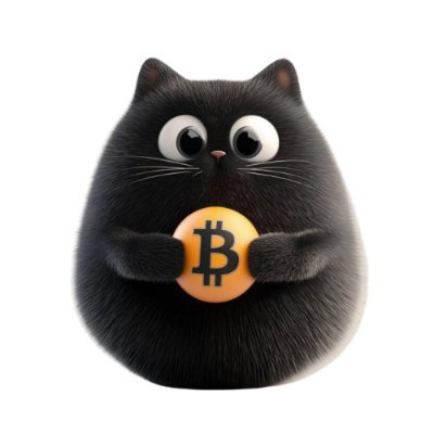 Bitcat