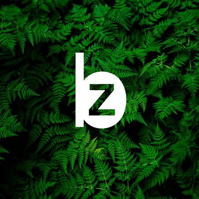 Bitzero