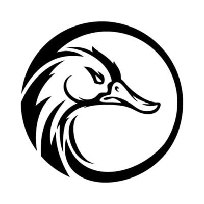 Swans Node BlackSwan Nodes: 최신 뉴스, 소셜 미디어 업데이트 및 인사이트 | CryptoRank.io