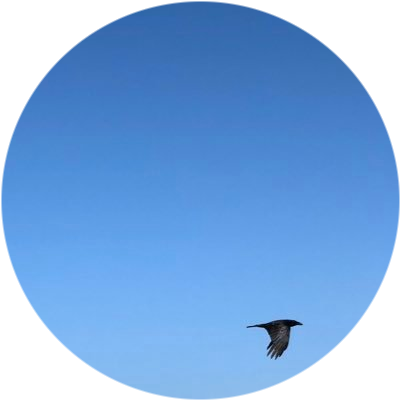 Bluesky