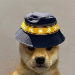 BNB DOGE
