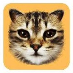 #cat