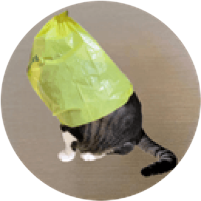 catwifbag