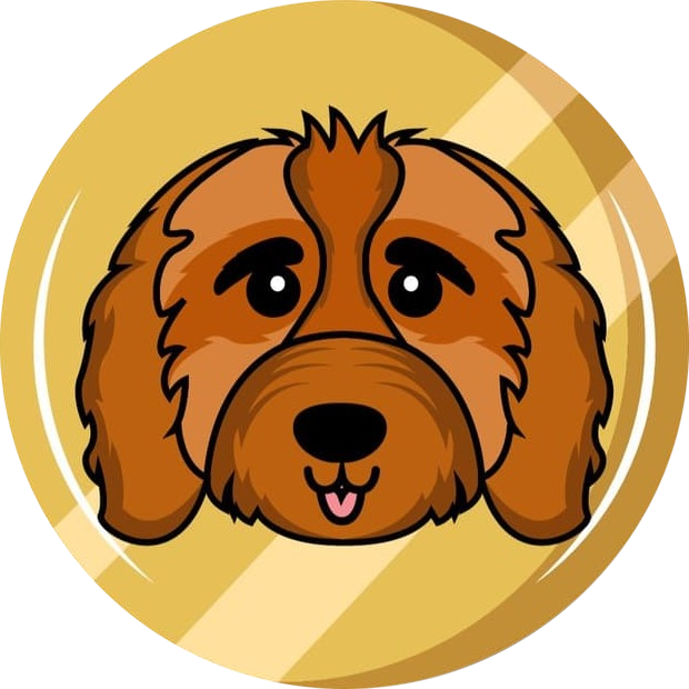Cavapoo