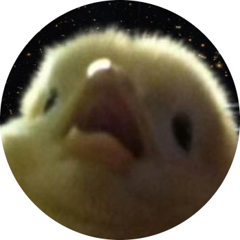 chick