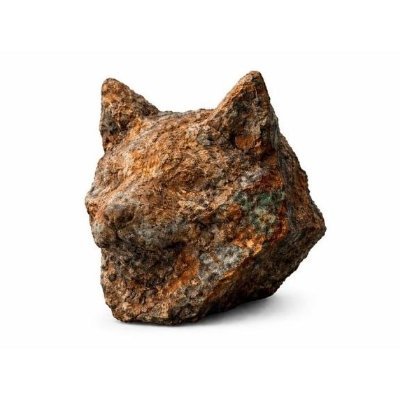 copper inu