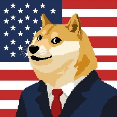DOGE AI