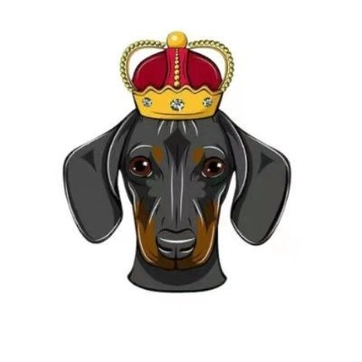 DogeKing