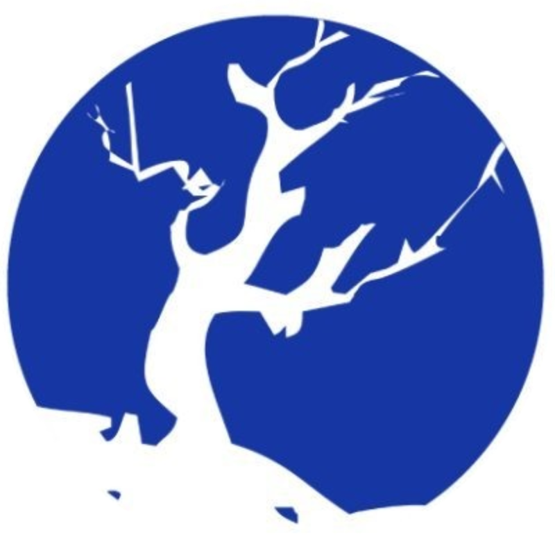 The Forbidden Forest