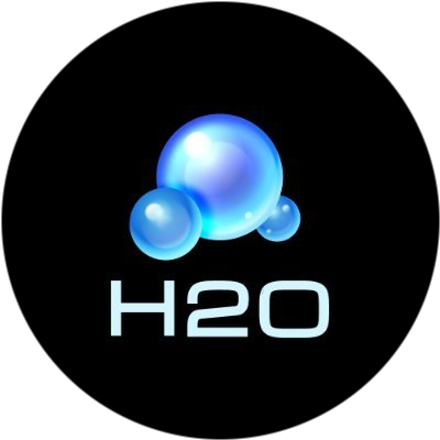 H2O DAO