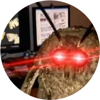 MOTH
