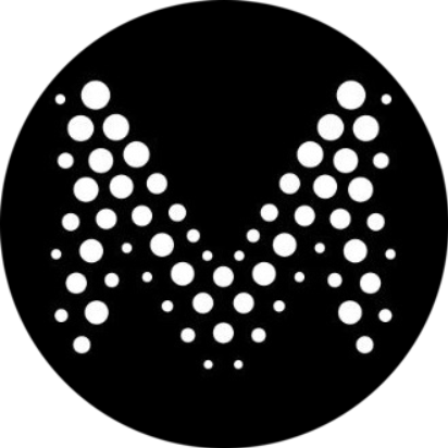Muon Network