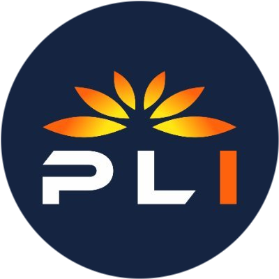 Plugin