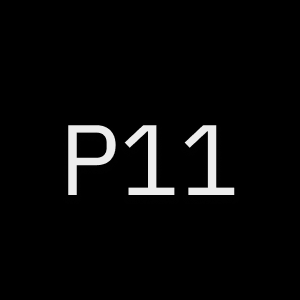 Project 11