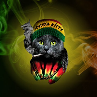 Rasta Kitty Token Price | RAS Price Today, Live Chart, USD converter ...