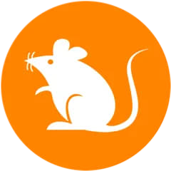 Rats