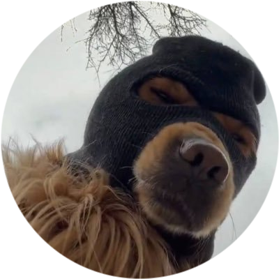 SKI MASK DOG