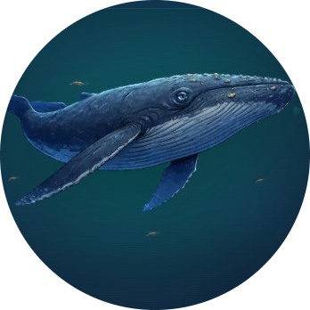 The Blue Whale