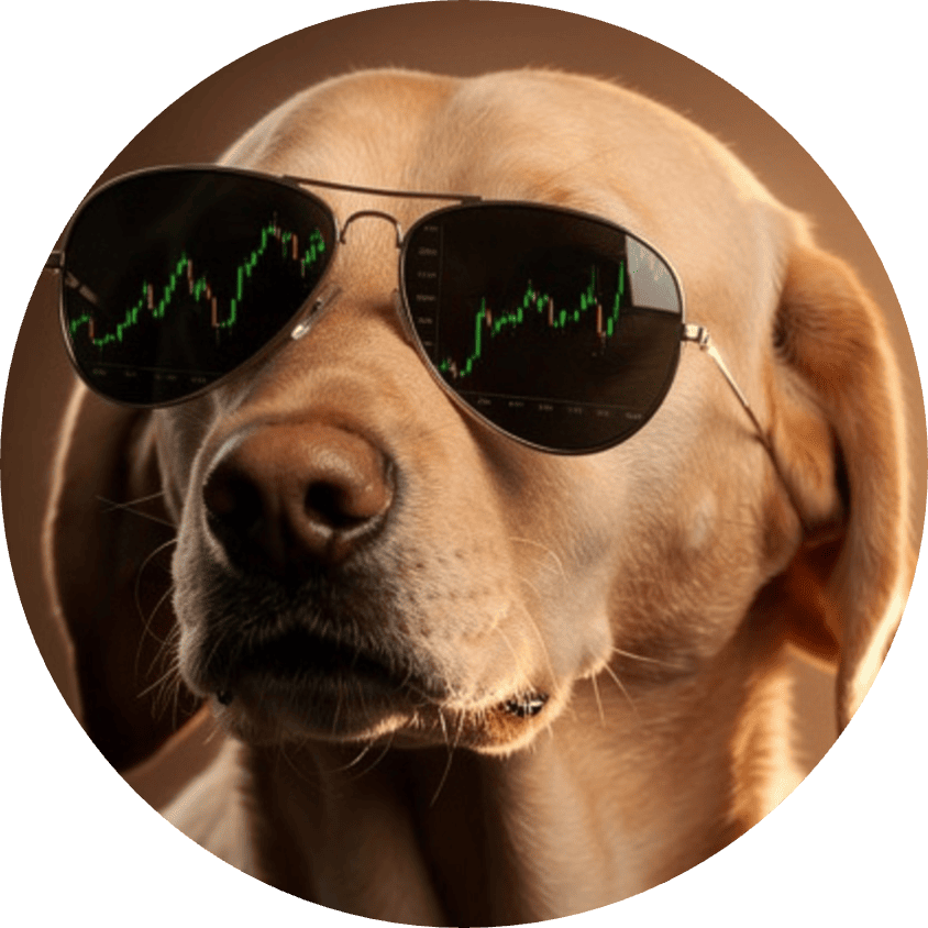 The Crypto Dog