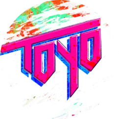 Toyoverse