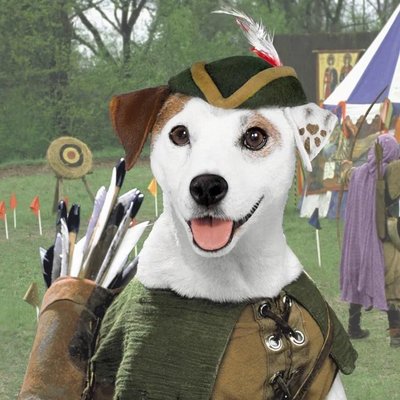 WISHBONE logo