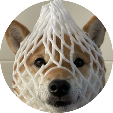 wrapped dog