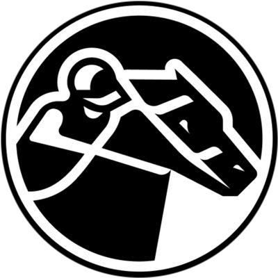 zkRace