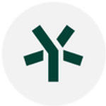 5Y Capital