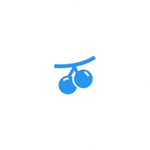 Berrywood Capital