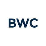 Blue Wire Capital