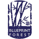 Blueprint Forest