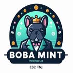 Boba Mint Holdings