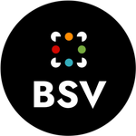 BSV Ventures