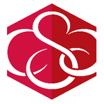 CSA Partners