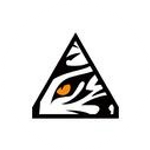 Cyberight Capital