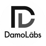 Damo Labs