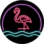 Flamingo Capital