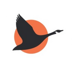 GOOSE Capital