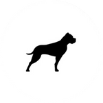 GP Bullhound
