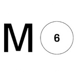 Momentum 6