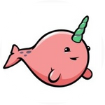 Narwhal Ventures