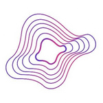 Negentropy Capital