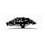 WisdomTree