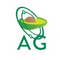 Avocado DAO